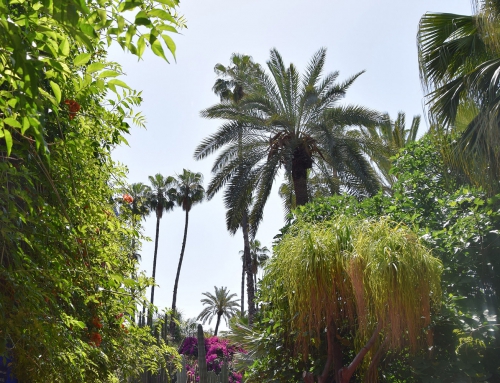 Marokko: Gärten von Marrakesch