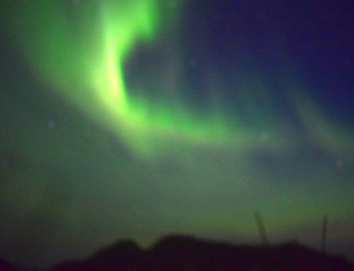 Das Wunder des Nordens: Nordlichter